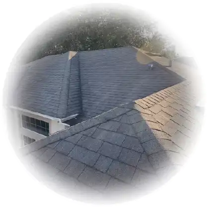 Loss Adjuster 5 Roof Damage