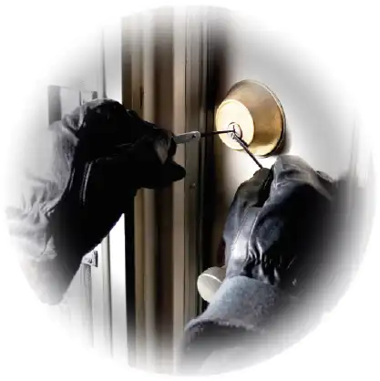 Loss Adjuster 10 Theft Vandalism Damage