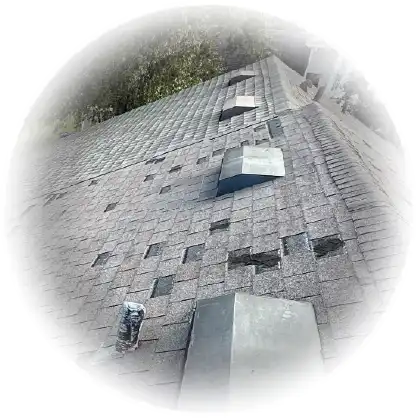 Loss Adjuster 8 Windstorm Damage