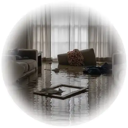 Loss Adjuster 9 flood damage