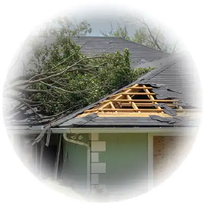 Loss Adjuster 11 hurricane damage