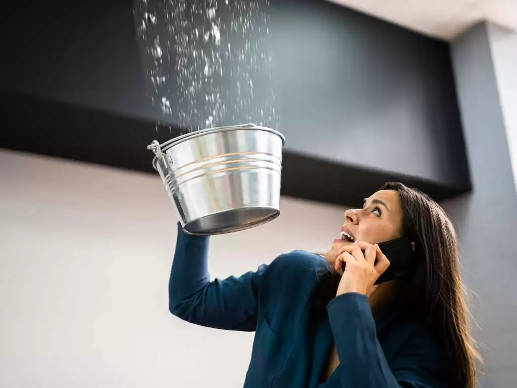 Diseno-sin-titulo-4 (2)